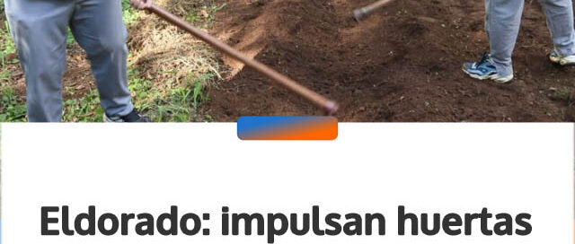 Eldorado: impulsan huertas escolares con una jornada práctica en el Instituto Superior San José